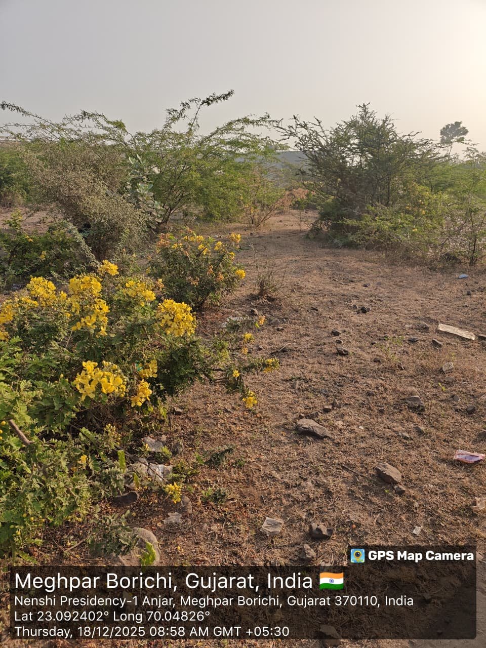 The High-Value Investment Land